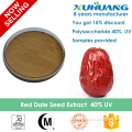 Red Date Extract/ Chinese Date Extract/Chinese Date Powder